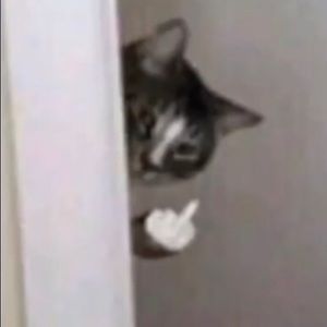 Meet your Posher, Jessie